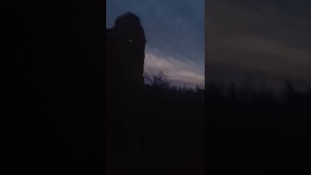 обычное утро