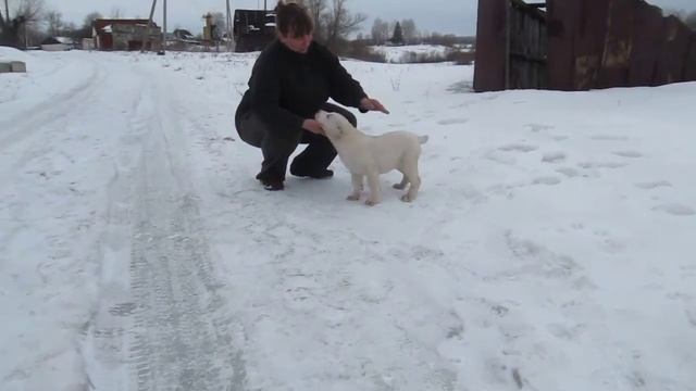 Блеск Серебра Нюша смотреть онлайн