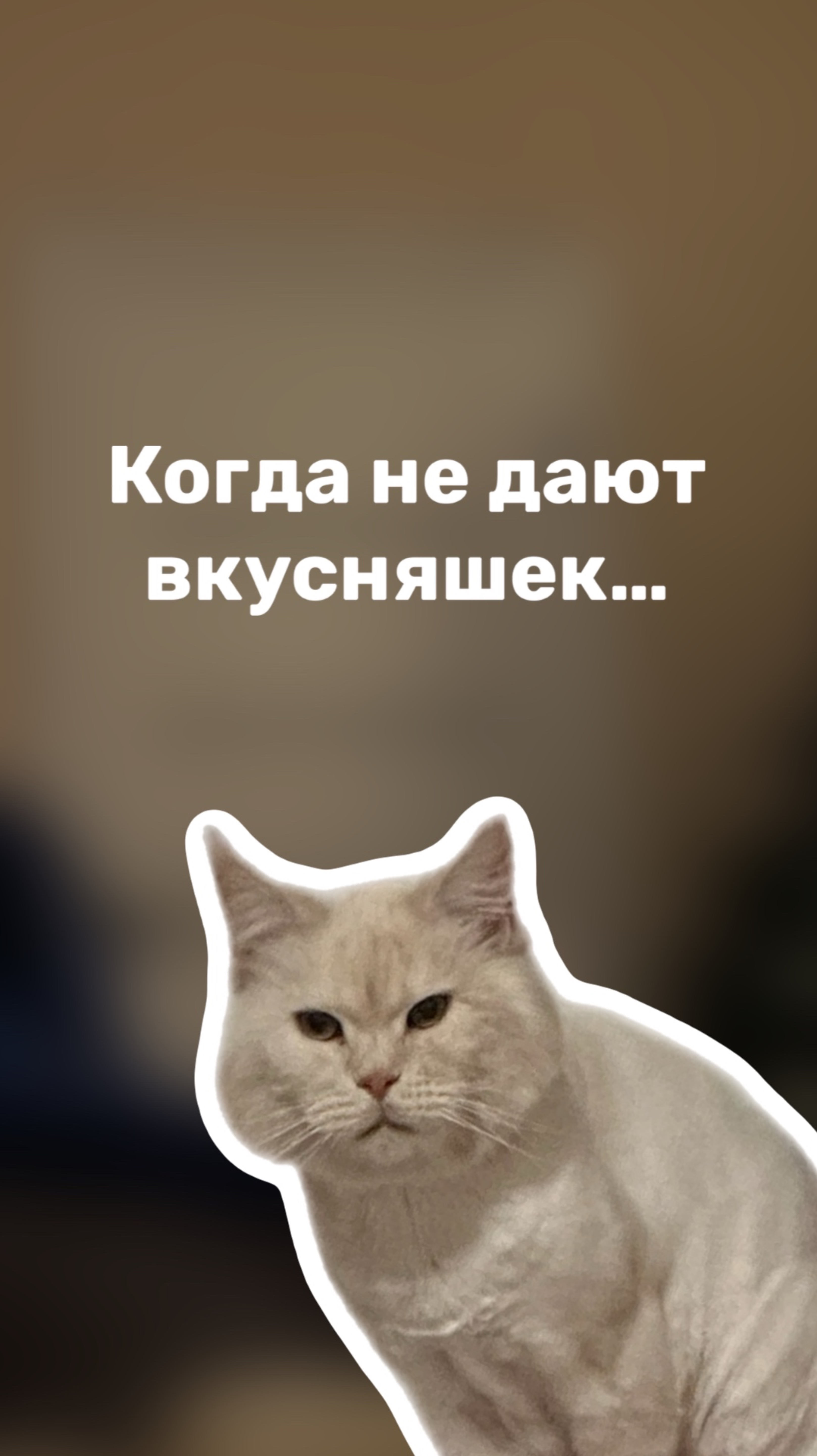 Эти «ВКУСНЯШКИ» точно НЕ стоит давать