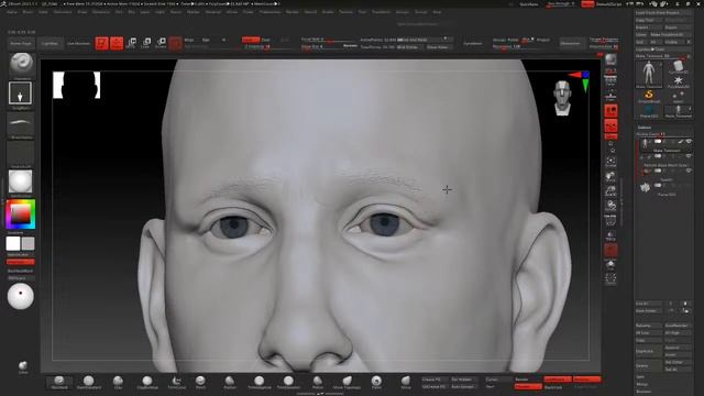 Zbrush 2021 Character creation realistic смотреть онлайн