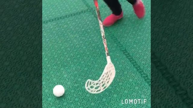 МБУ "Спортивный город" развивает флорбол в Новосибирске смотреть онлайн