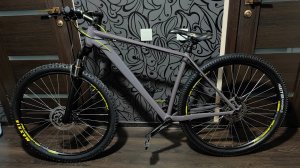 Stinger Genesis STD 29/L