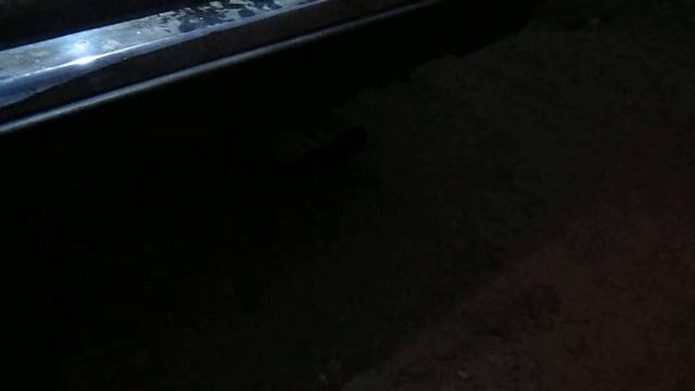 звук кастомного глушака смотреть онлайн