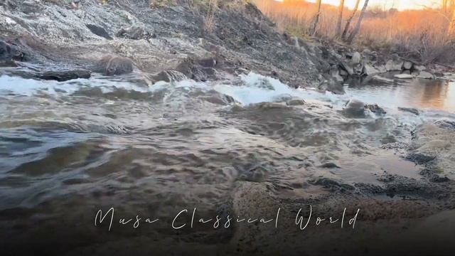 САЛЬВАТОРЕ АДАМО ПАДАЕТ СНЕГ смотреть онлайн