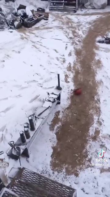 1000014088.mp4 смотреть онлайн