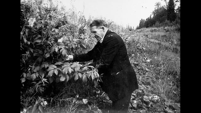 Здравствуй Батя - Мамонт