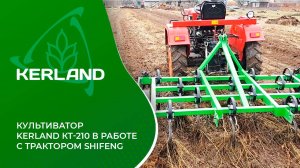 🔥 Культиватор KERLAND KT-210 в работе с минитрактором Shifeng SF-244 🔥
