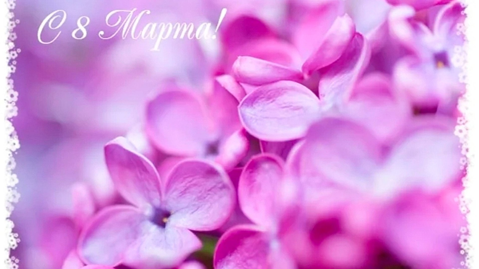 ЦВЕТОЧНОЕ ПОЗДРАВЛЕНИЕ ДЛЯ ПРЕКРАСНЫХ ЖЕНЩИН💐 С 8 МАРТА! смотреть онлайн