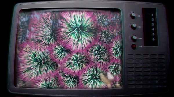 Video Art: Сигнал