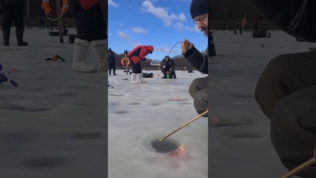 Форель. смотреть онлайн