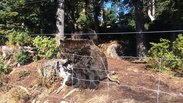 Grinder & Coola смотреть онлайн