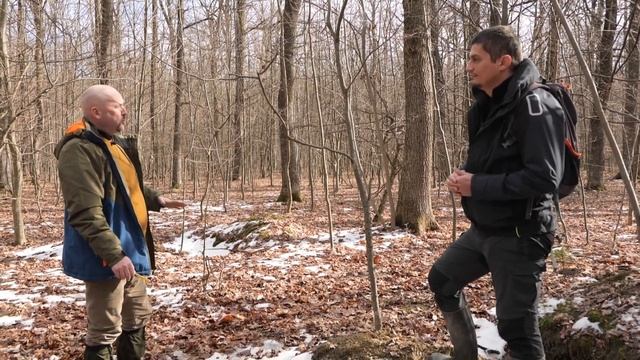 O lecție de Pedologie смотреть онлайн