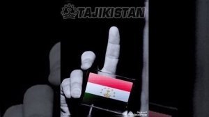 Каспийский груз брутто метис