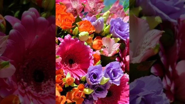 Весна с музыкой Ричарда Клайдермана "Voyage A Venise" . Видео Баталовой Елены . 2025 год . смотреть онлайн