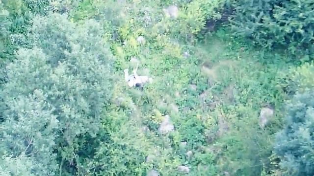 Rope Jumping Rezina 10.07.2016 смотреть онлайн