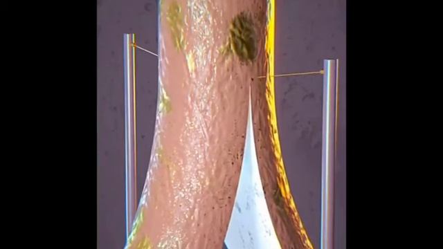 3D Animation #blender #oddleysatisfyingvideo смотреть онлайн
