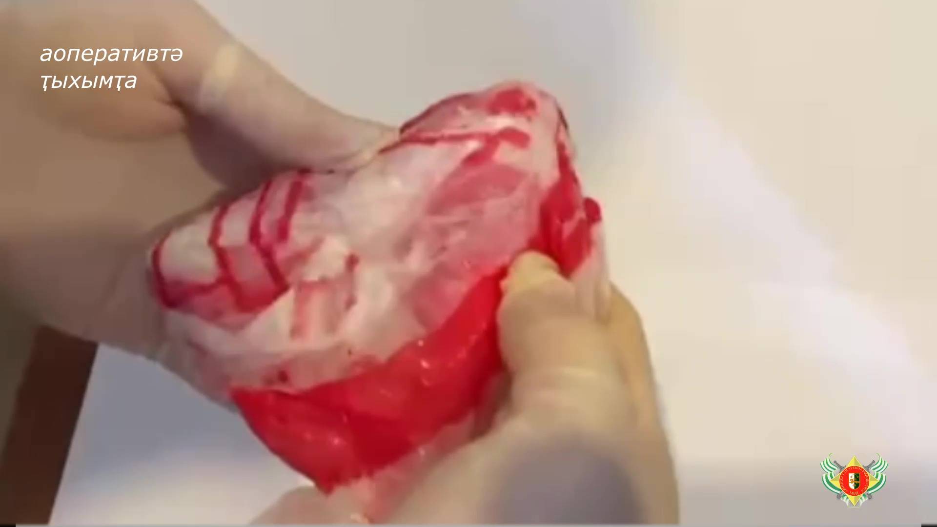 ААР АМРХА аусзуҩцәа зыкапан рацәаз арҩышьыгатә маҭәашьар Аҧсныҟа аҭагалара алдмыршеит.