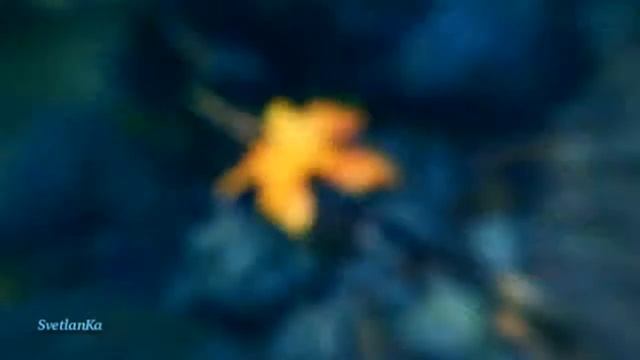 Ж. Карельская "Ты и Осень" смотреть онлайн