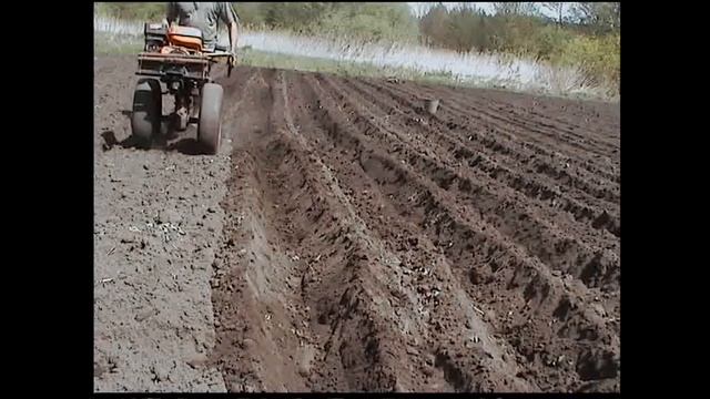 Сажаем картошку смотреть онлайн