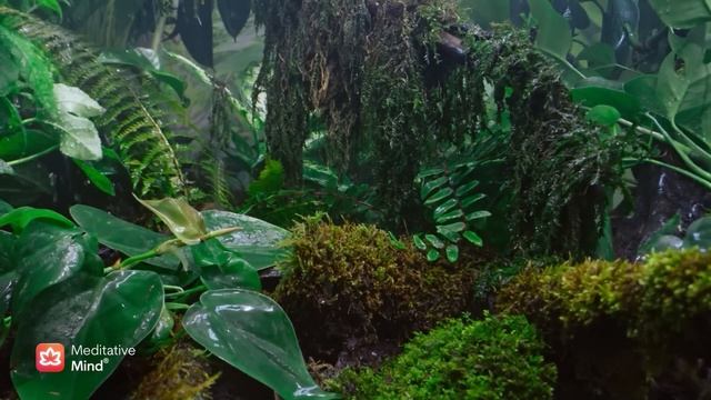 🌳 FOREST FABLES 432Hz Позитивная трансформация Заколдованная арфа + Эхо птичьего пения + Дождь смотреть онлайн