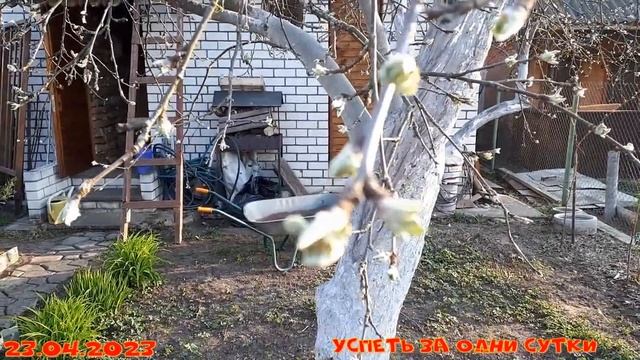 24.04.2023 Обработка сада от вредителей и болезней продолжается. смотреть онлайн