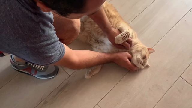 ОДИН ИЗ МОИХ ДНЕЙ🧘♀️🌊☀️😻⚜️САЛОН⚜️ПИТОМЦЫ⚜️ПРОГУЛКА (Katya Ru) смотреть онлайн