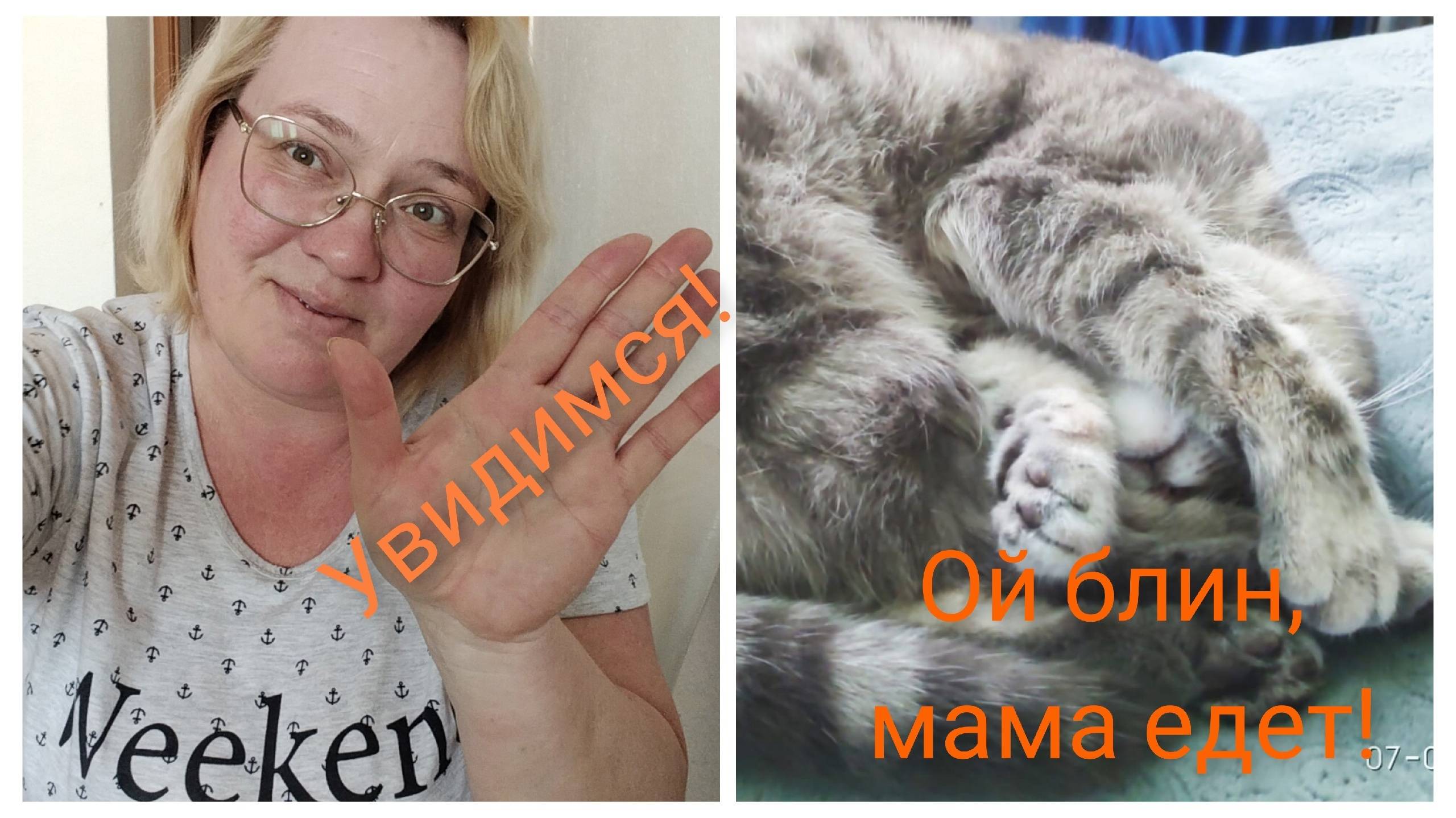 Под мамино крыло.Сборы в дорогу. смотреть онлайн