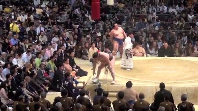Sumo Wrestling - Final Bout смотреть онлайн