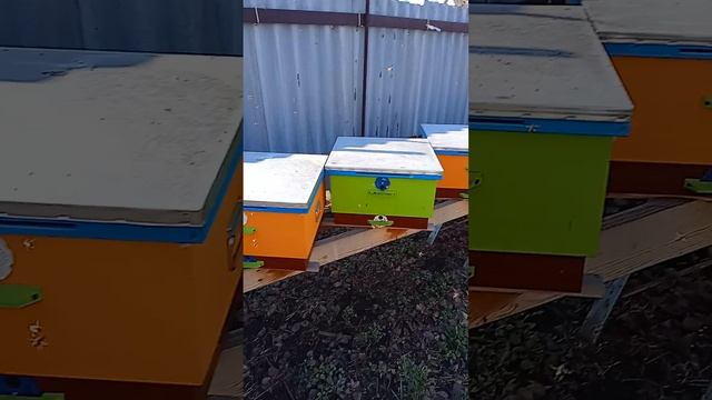 VID20250307152214.mp4 смотреть онлайн