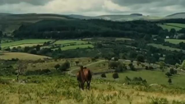 Я гоню лошадей смотреть онлайн