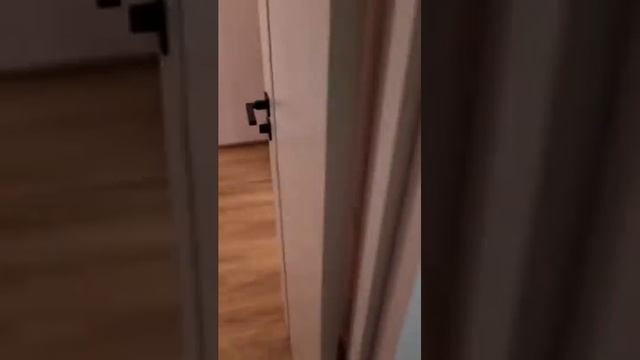 Жяк Ракурс 8-913-721-21-20 Олеся Вот сап смотреть онлайн