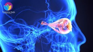 Укрепление Глазных Мышц*Лечение Глаз*Устраняет Нарушения Движения Глаз