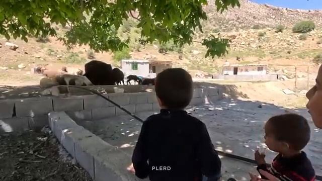 12.05.2024 От Рождения до работы, Без времени на Отдых Завещание Супер мамы смотреть онлайн