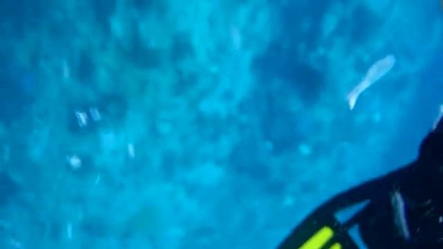 Snorkeling May 22, 2011 смотреть онлайн