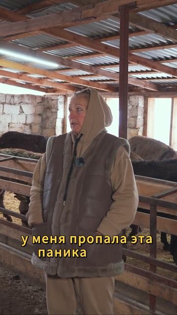 Ослиное молоко вернуло к Жизни после КОВИДА #ослы смотреть онлайн