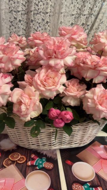 🔴 ЦВЕТЫ , ОБЗОР🔴 смотреть онлайн