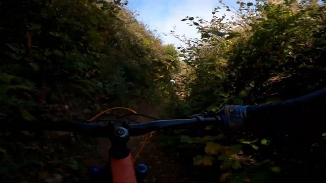 XXX | Pacifica | MTB 4K смотреть онлайн