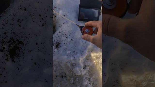 Вот это кони смотреть онлайн