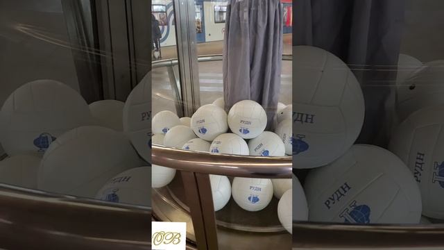 Выставка на Воробьёвых горах смотреть онлайн