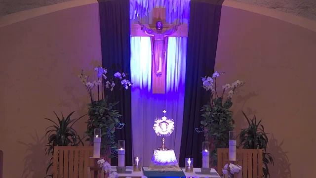 Daily Adoration - Wednesday, 8-4-21 смотреть онлайн