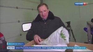 Телеканал «Россия 1», программа « Вести», 06.03.2025