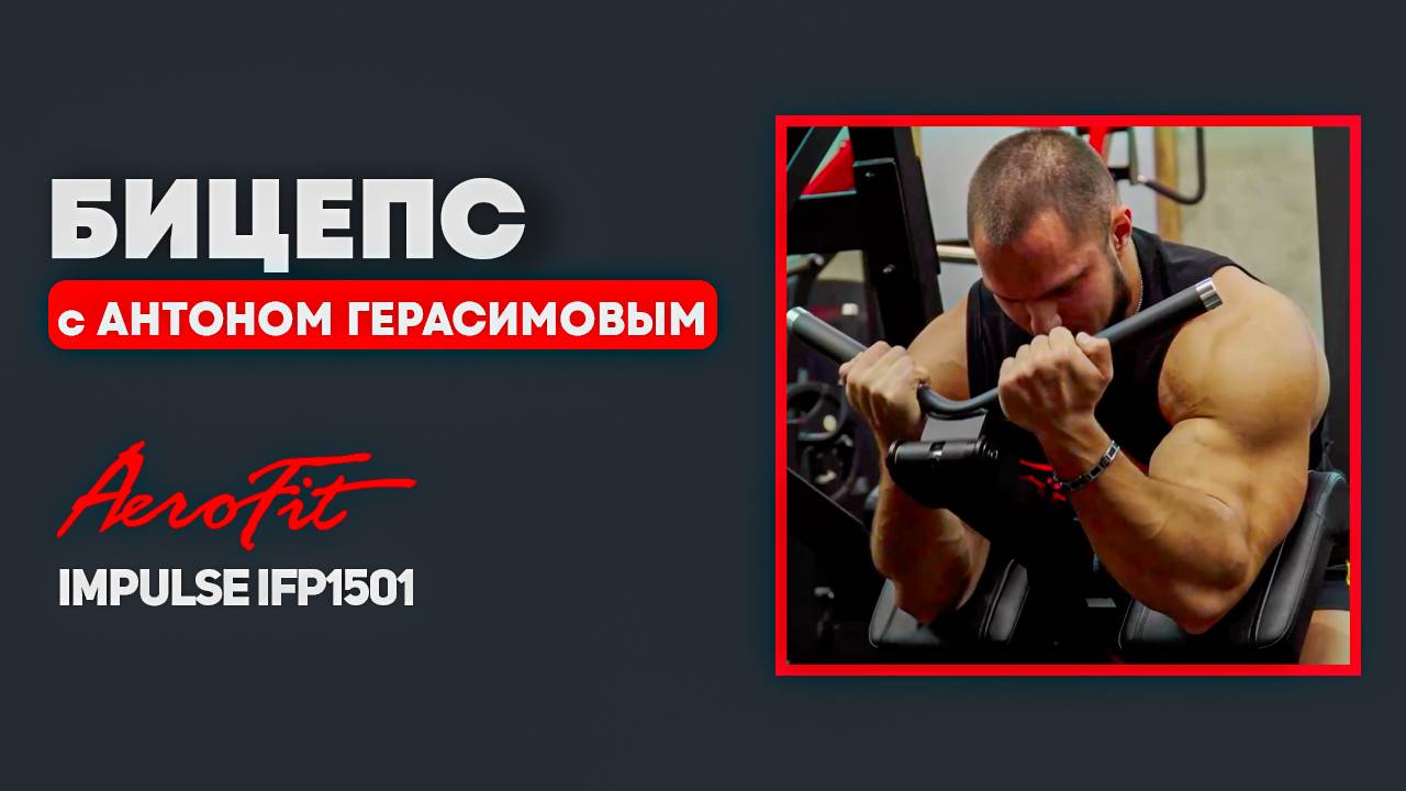 Бицепс с Антоном Герасимовым Impulse IFP1501 смотреть онлайн