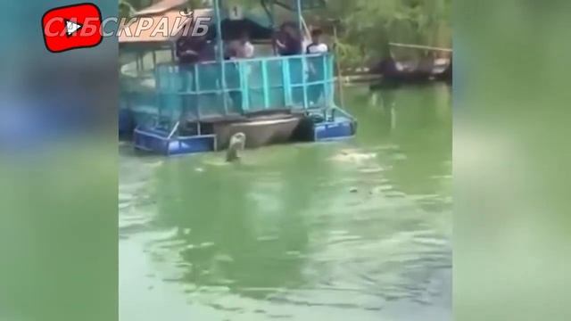 🔥Самые экстремальные развлечения в мире! смотреть онлайн