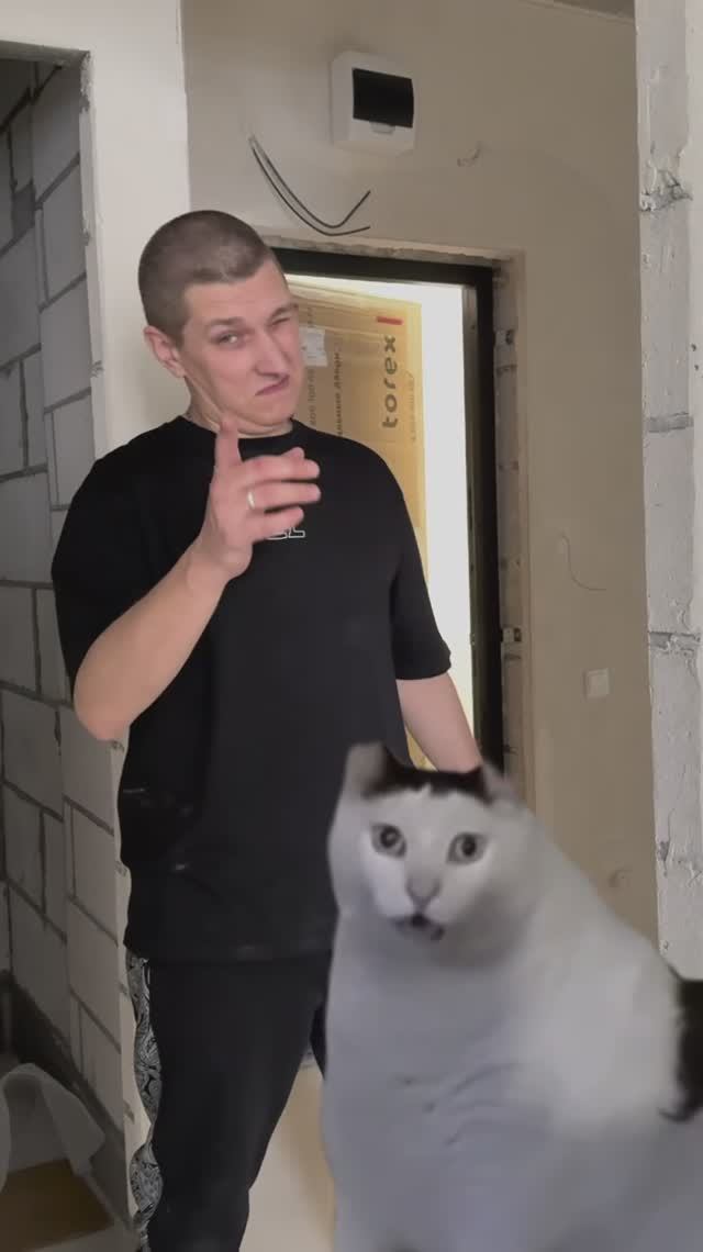 А вы знаете, кто должен первым войти в новостройку?? Смотрите видео! #инструмент #юмор #новостройка смотреть онлайн