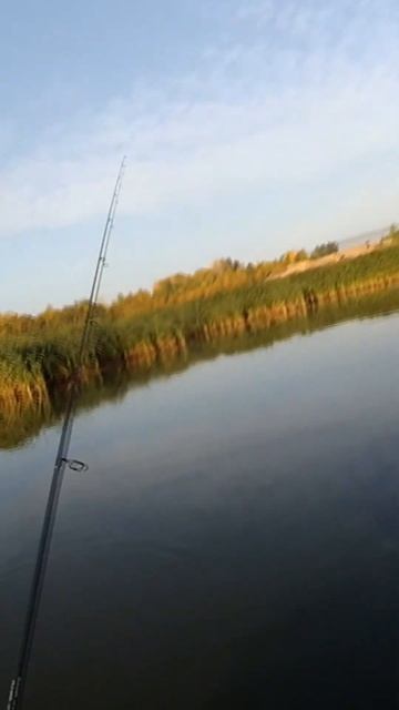 Рыбалка на реке, судак