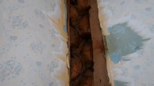 Сгорают мечты!