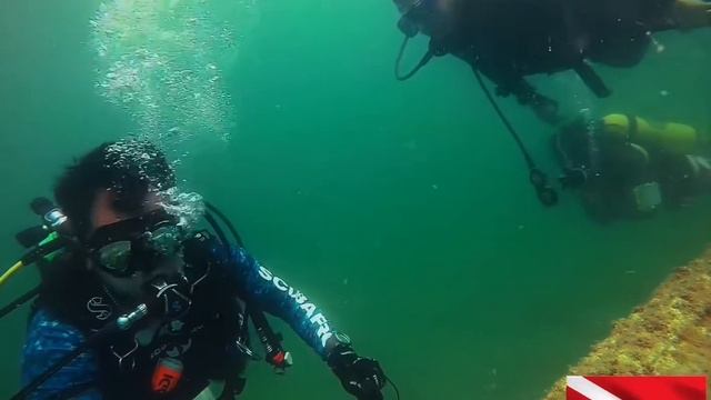 Khobar Diving смотреть онлайн