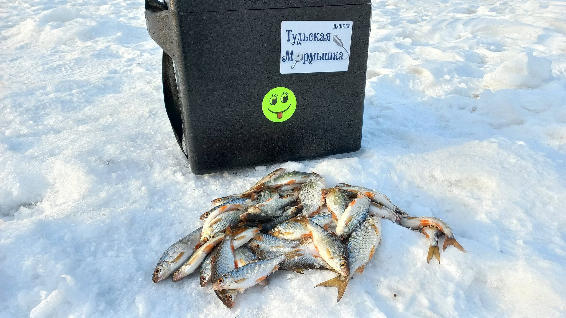 Отлично половил плотву. Пампасы радуют.