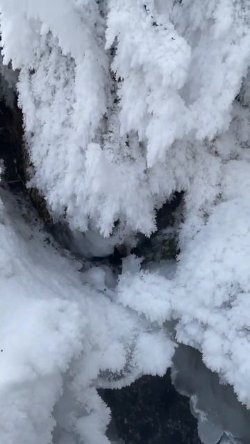 Художник-природа