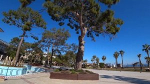 Турция отдых 2020 . KILIKYA PALACE GOYNUK 5. Вся, красивая территория.